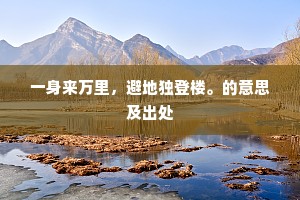 一身来万里，避地独登楼。的意思及出处