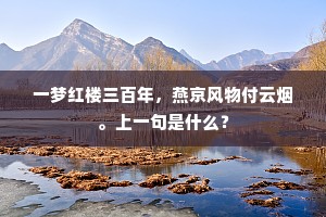 一梦红楼三百年，燕京风物付云烟。上一句是什么？