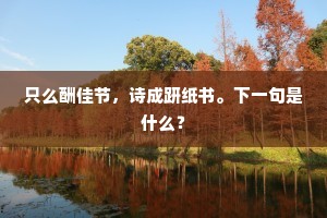 只么酬佳节，诗成趼纸书。下一句是什么？