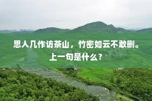 思人几作访茶山，竹密如云不敢删。上一句是什么？