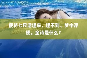 便将七尺活埋来，埋不到、梦中浮梗。全诗是什么？