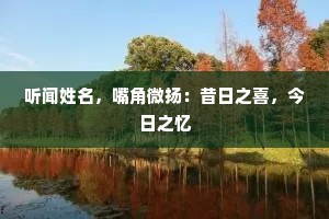 听闻姓名，嘴角微扬：昔日之喜，今日之忆