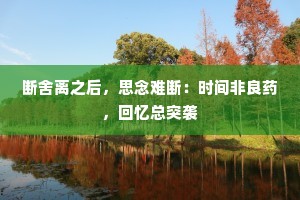 断舍离之后，思念难断：时间非良药，回忆总突袭