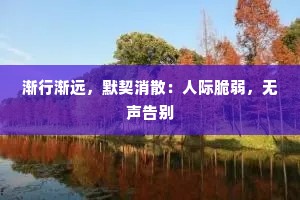 渐行渐远，默契消散：人际脆弱，无声告别