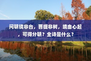 问明镜非台，菩提非树，境由心起，可得分明？全诗是什么？