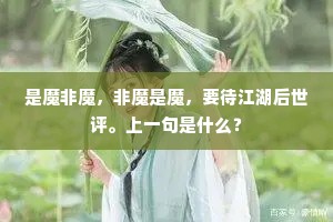 是魔非魔，非魔是魔，要待江湖后世评。上一句是什么？