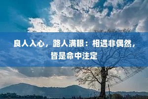 良人入心，路人满眼：相遇非偶然，皆是命中注定