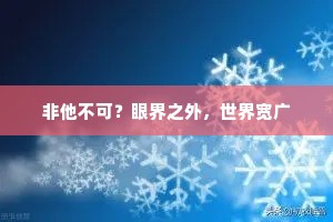 非他不可？眼界之外，世界宽广