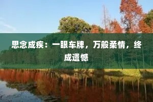 思念成疾：一眼车牌，万般柔情，终成遗憾