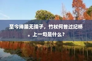 至今捧履无孺子，竹杖何曾过圮桥。上一句是什么？