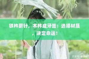 铁杵磨针，木杵成牙签：选择材质，决定命运！