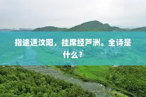 指途适汶阳，挂席经芦洲。全诗是什么？