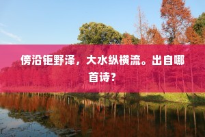 傍沿钜野泽，大水纵横流。出自哪首诗？