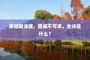 稼穑随波澜，西成不可求。全诗是什么？