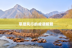 草靡风行的成语解释