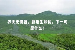 农夫无倚著，野老生殷忧。下一句是什么？