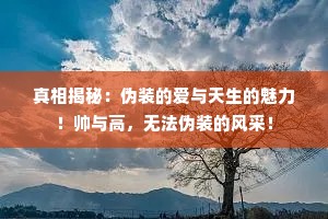 真相揭秘：伪装的爱与天生的魅力！帅与高，无法伪装的风采！