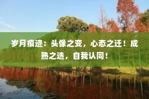 岁月痕迹：头像之变，心态之迁！成熟之选，自我认同！