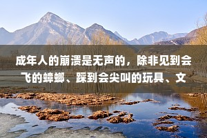 成年人的崩溃是无声的，除非见到会飞的蟑螂、踩到会尖叫的玩具、文件没保存