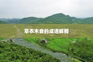 草衣木食的成语解释