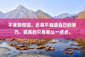 不使劲挖掘，还真不知道自己的潜力，就真的只有那么一点点。