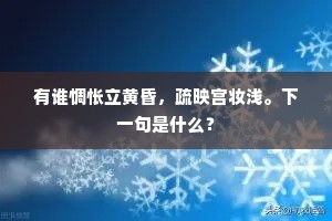 有谁惆怅立黄昏，疏映宫妆浅。下一句是什么？