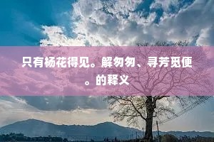 只有杨花得见。解匆匆、寻芳觅便。的释义