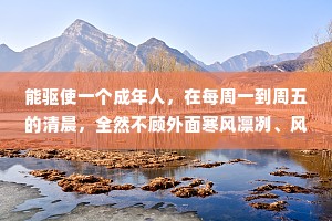 能驱使一个成年人，在每周一到周五的清晨，全然不顾外面寒风凛冽、风沙漫天，准时挥别温暖被窝，离开家门的，或许只有贫穷了。