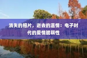 消失的相片，逝去的温情：电子时代的爱情脆弱性