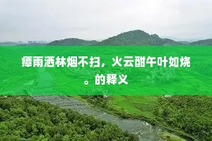 瘴雨洒林烟不扫，火云酣午叶如烧。的释义