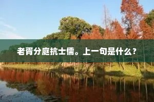 老胥分庭抗士儒。上一句是什么？