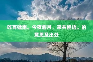 昨宵猛雨。今夜碧月，来共鸥语。的意思及出处