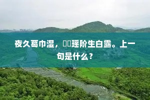 夜久葛巾湿，髣髴瑶阶生白露。上一句是什么？