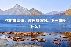 忧时惟贾傅，疾恶甚张纲。下一句是什么？