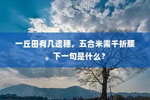 一丘田有几遗穗，五合米需千折腰。下一句是什么？