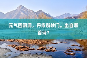 元气回阴洞，丹霞辟妙门。出自哪首诗？