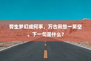 劳生梦幻成何事，万古闲愁一笑空。下一句是什么？