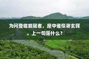 为问登临能赋者，座中谁似谢玄晖。上一句是什么？