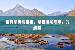惟有军持成宝相，矫若游龙荡漾。的解释
