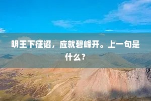 明王下征诏，应就碧峰开。上一句是什么？