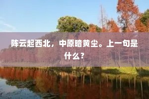 阵云起西北，中原暗黄尘。上一句是什么？