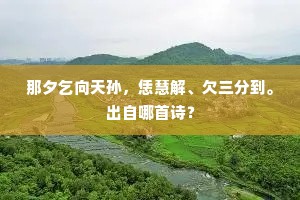 那夕乞向天孙，恁慧解、欠三分到。出自哪首诗？