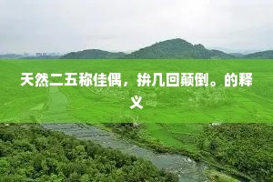 天然二五称佳偶，拚几回颠倒。的释义