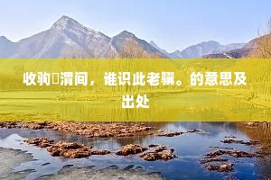 收驹汧渭间，谁识此老骥。的意思及出处