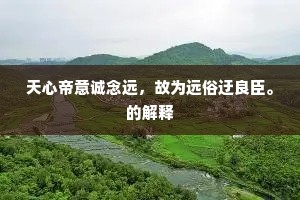 天心帝意诚念远，故为远俗迂良臣。的解释