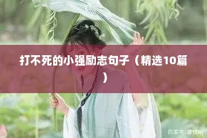 打不死的小强励志句子（精选10篇）