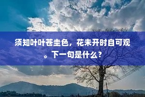 须知叶叶苍圭色，花未开时自可观。下一句是什么？