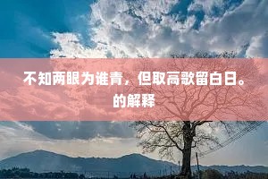 不知两眼为谁青，但取高歌留白日。的解释