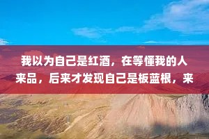 我以为自己是红酒，在等懂我的人来品，后来才发现自己是板蓝根，来找我的都有病。
