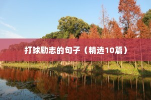 打球励志的句子（精选10篇）